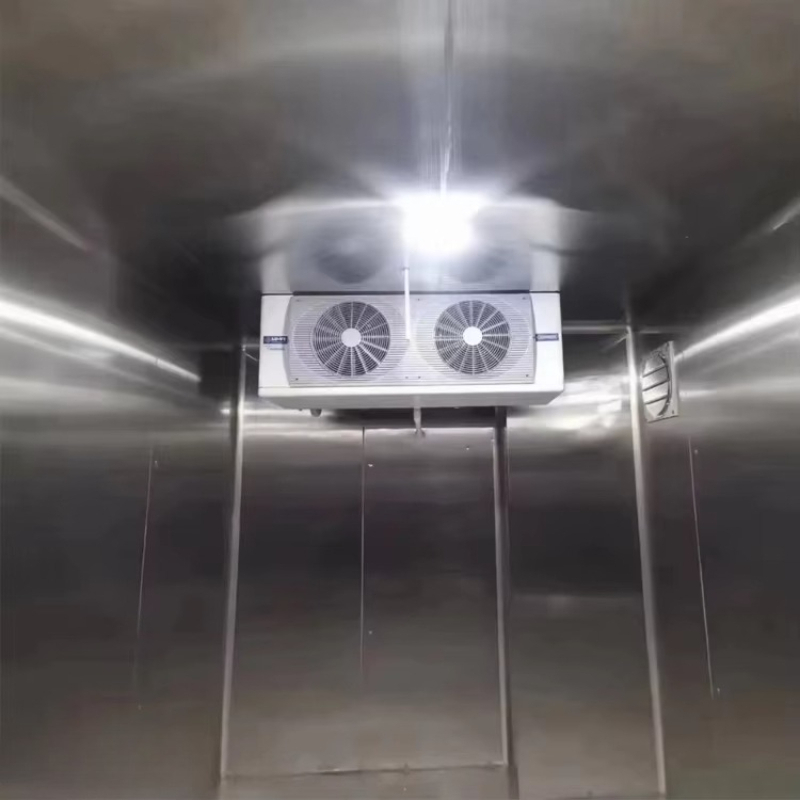 2026 New Walk in Cooler Freeze - огляд і ціна Outdoor Power New Market