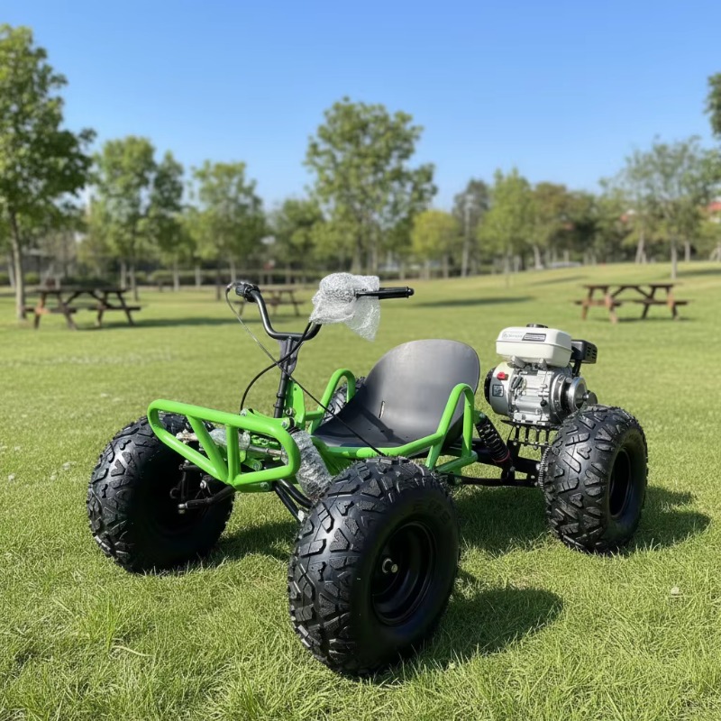 212CC 4 Stroke Pedal Go Kart I - огляд і ціна Outdoor Power And Pedal